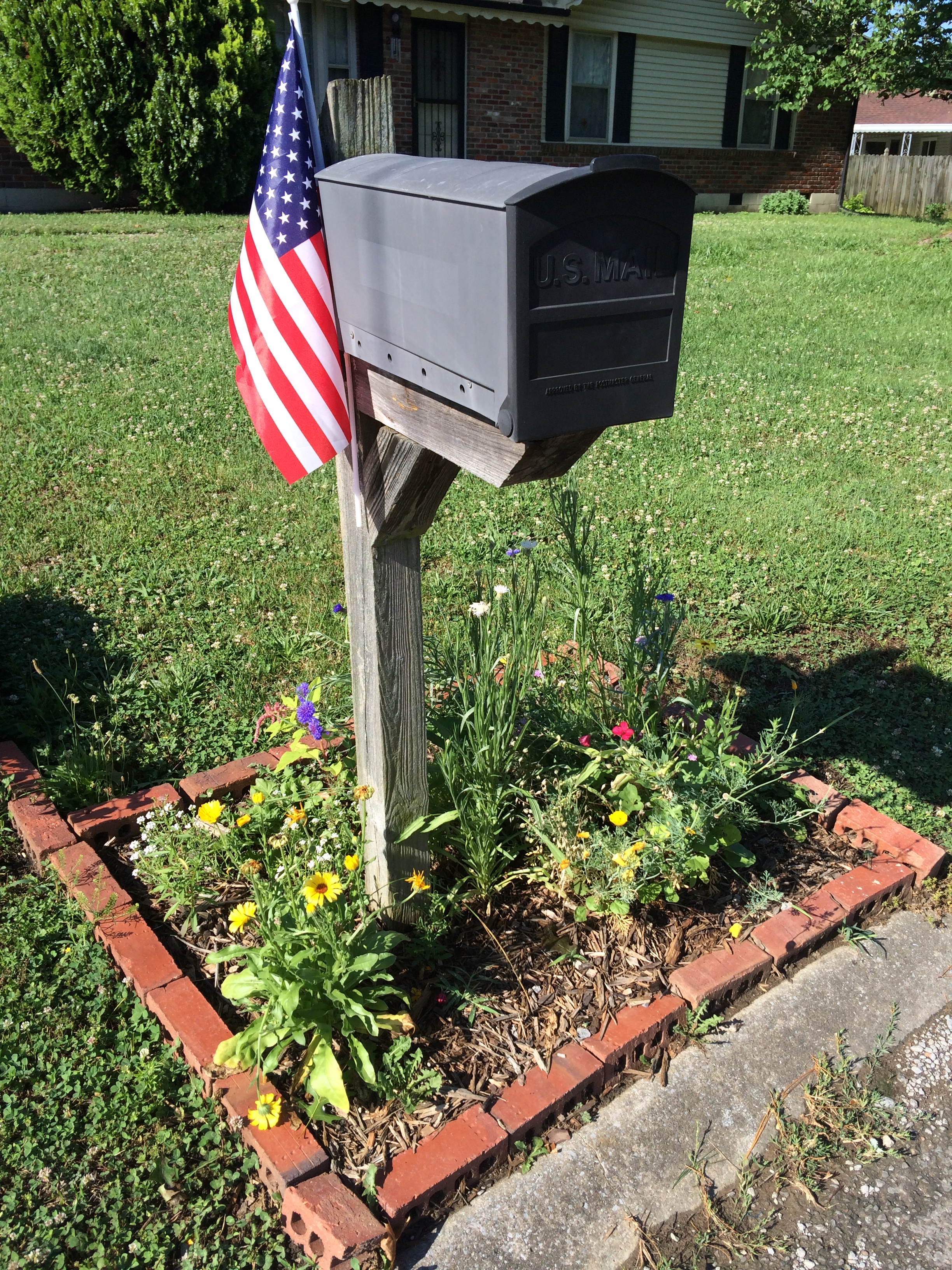 Mailbox Flowers